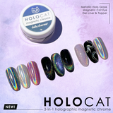 Daily Charme - 3-In-1 Holocat Magnetic Chrome Powder